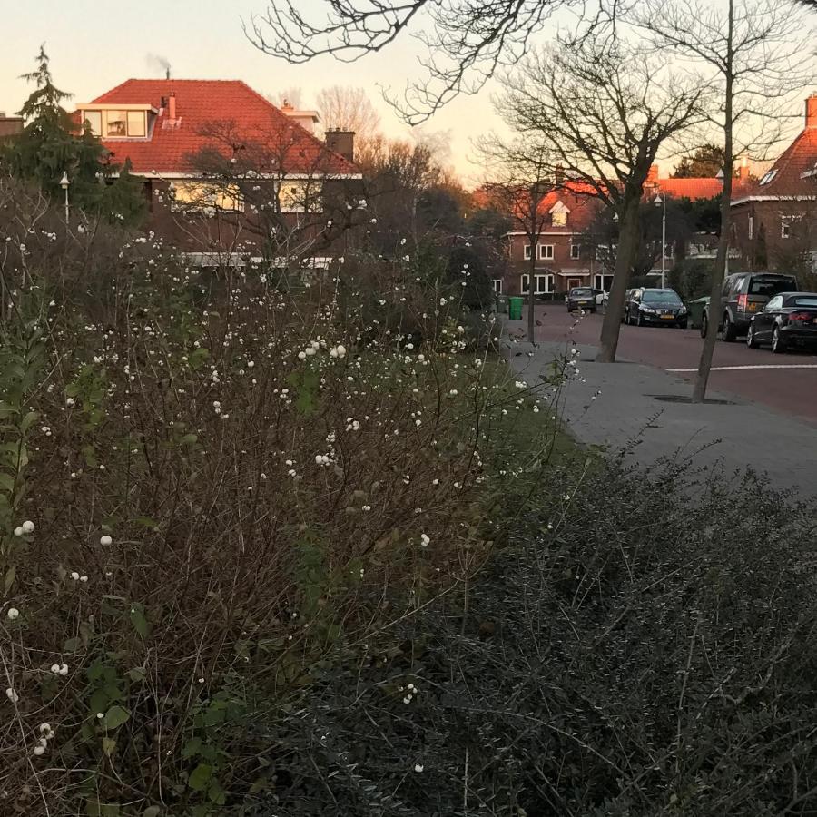 Boutique Hide & Seek, Bed & Beach Bed & Breakfast The Hague Luaran gambar